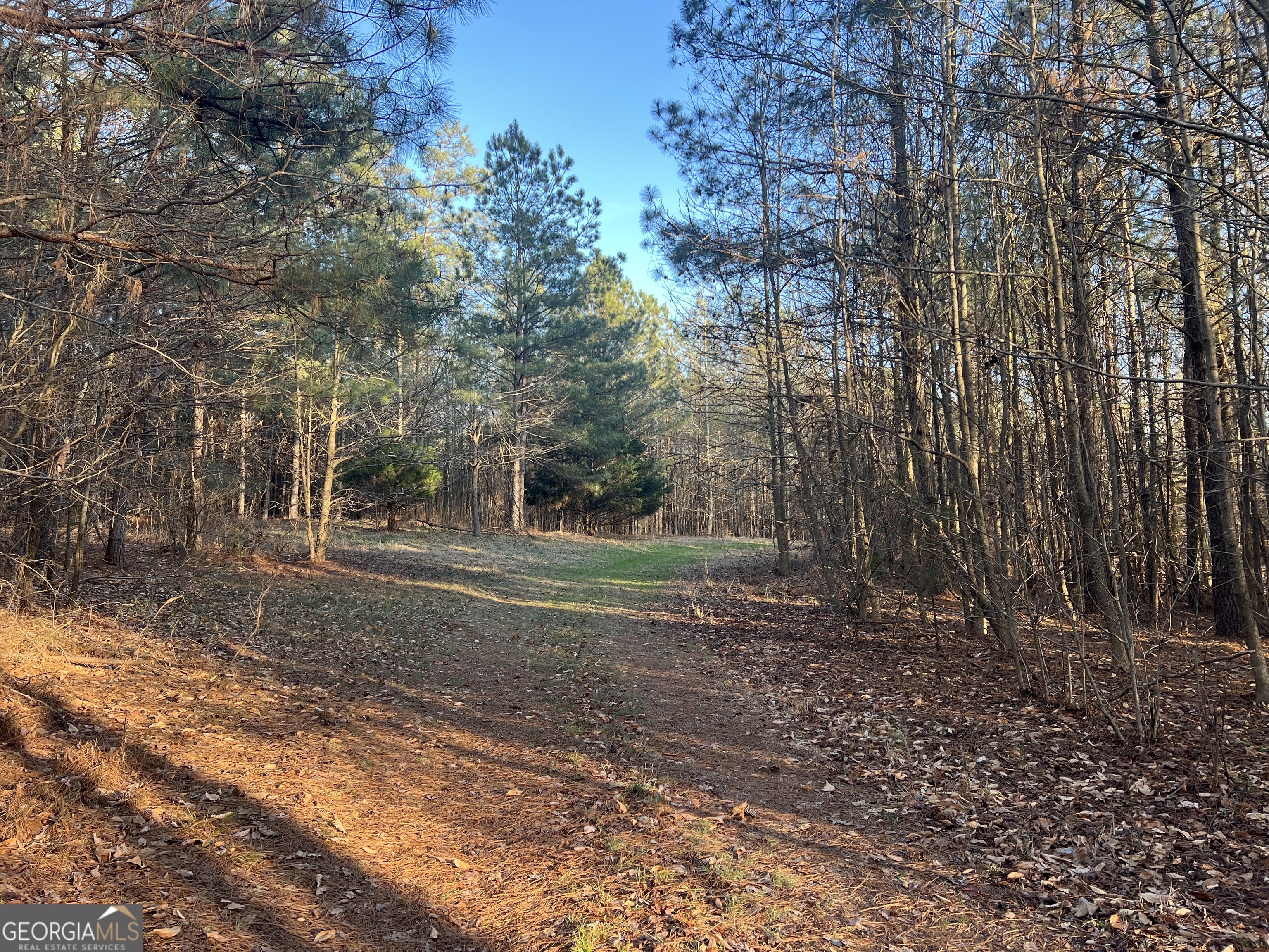 8714 Highway 172 Comer, GA 30629 - Photo 50 of 63
