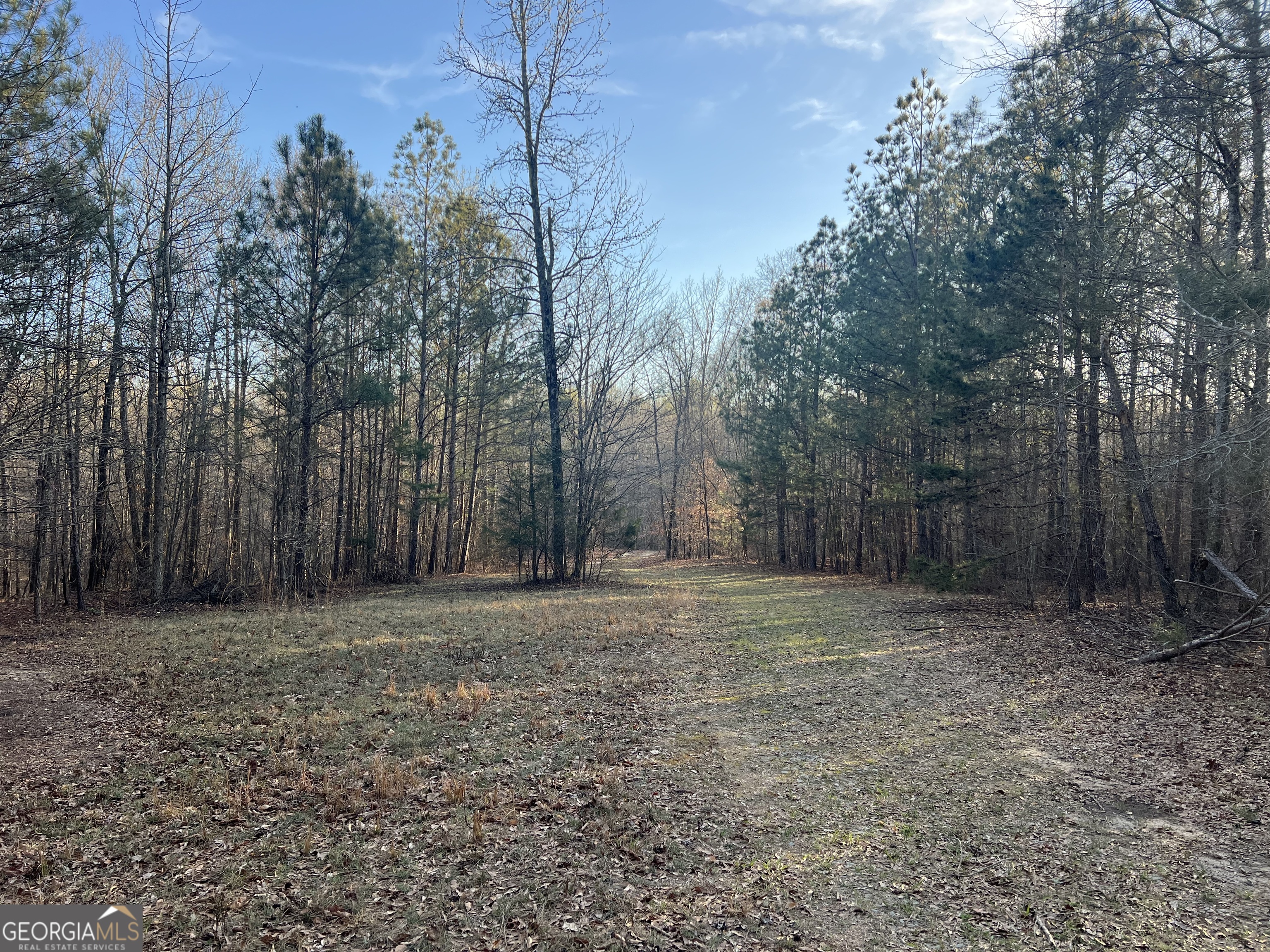 8714 Highway 172 Comer, GA 30629 - Photo 52 of 63