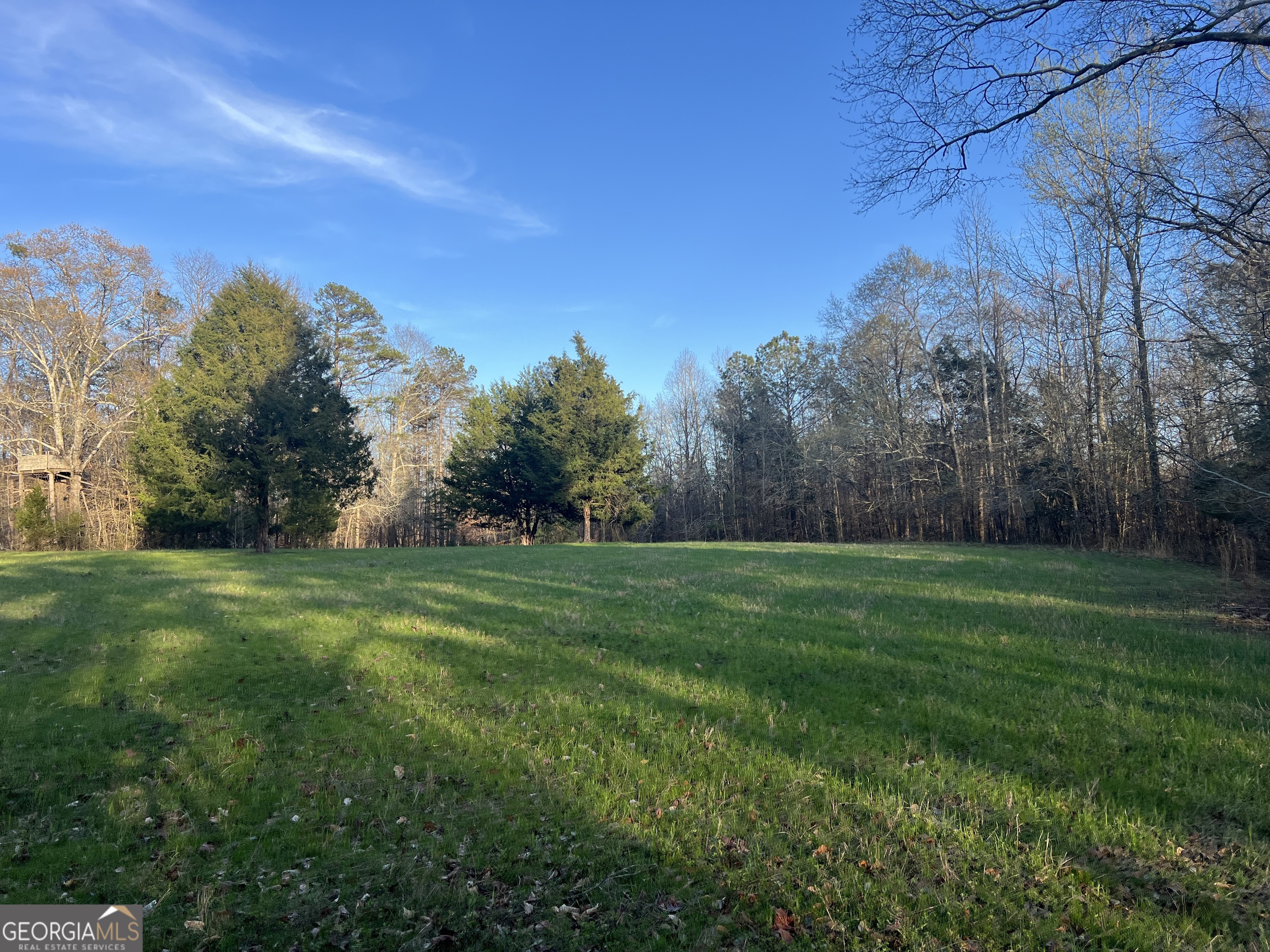 8714 Highway 172 Comer, GA 30629 - Photo 53 of 63