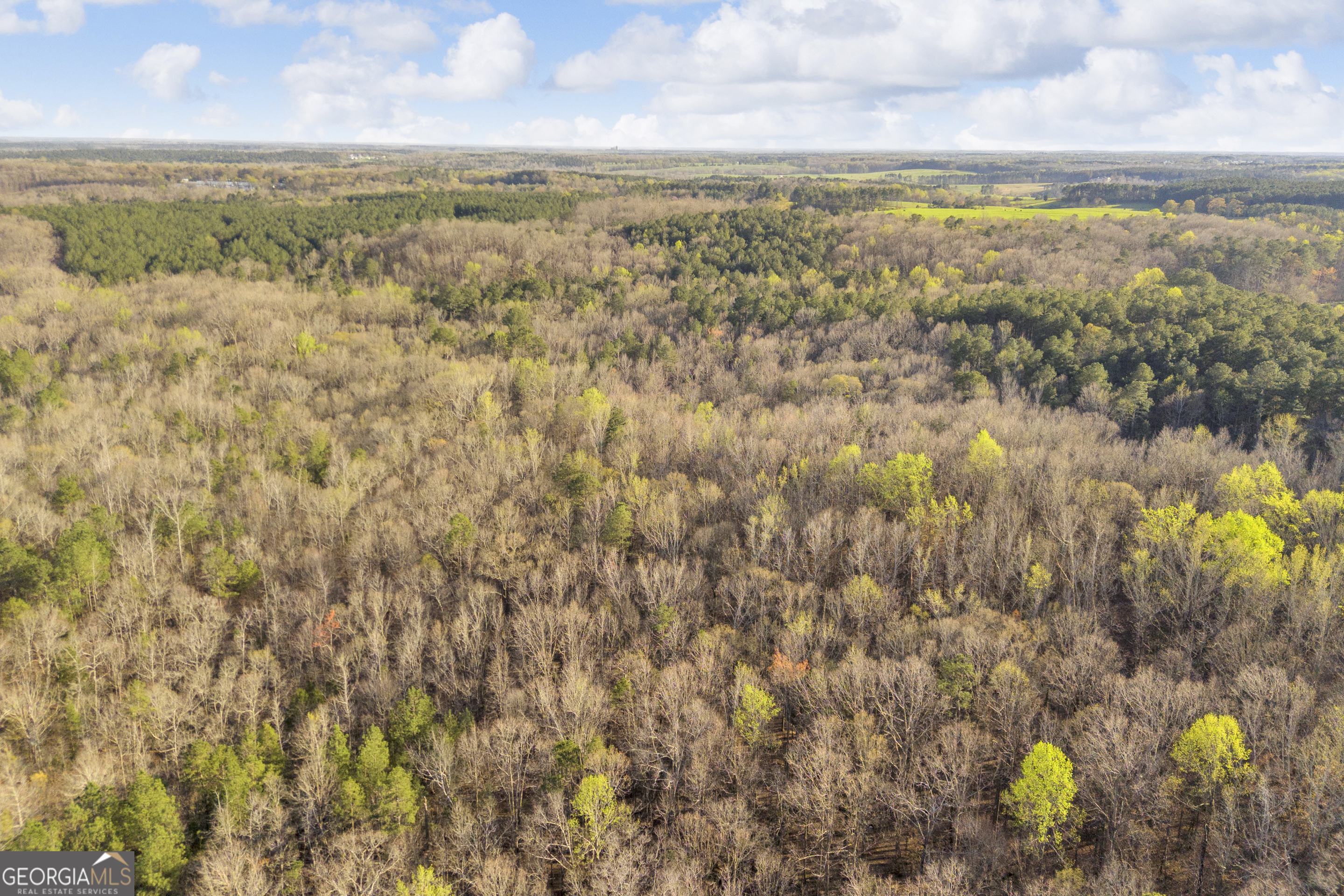 8714 Highway 172 Comer, GA 30629 - Photo 58 of 63