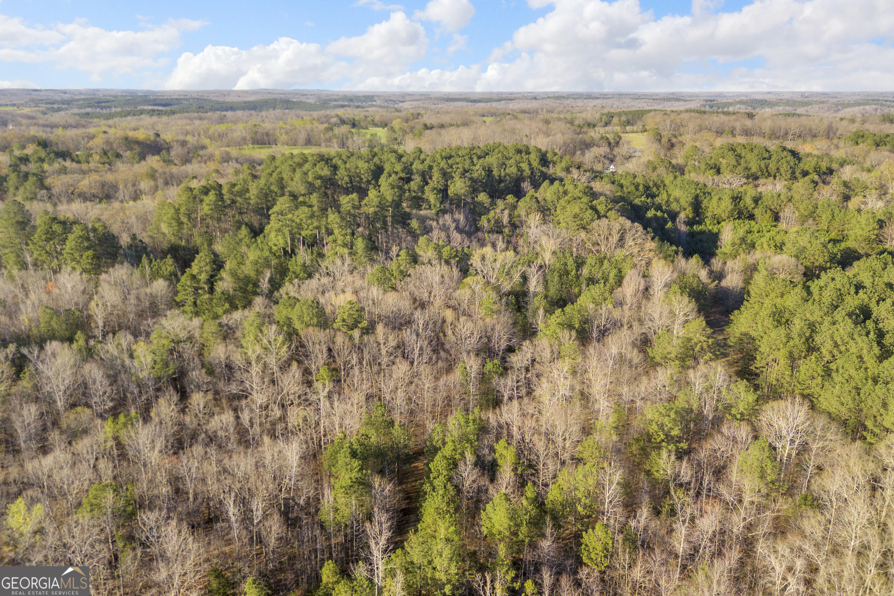 8714 Highway 172 Comer, GA 30629 - Photo 61 of 63