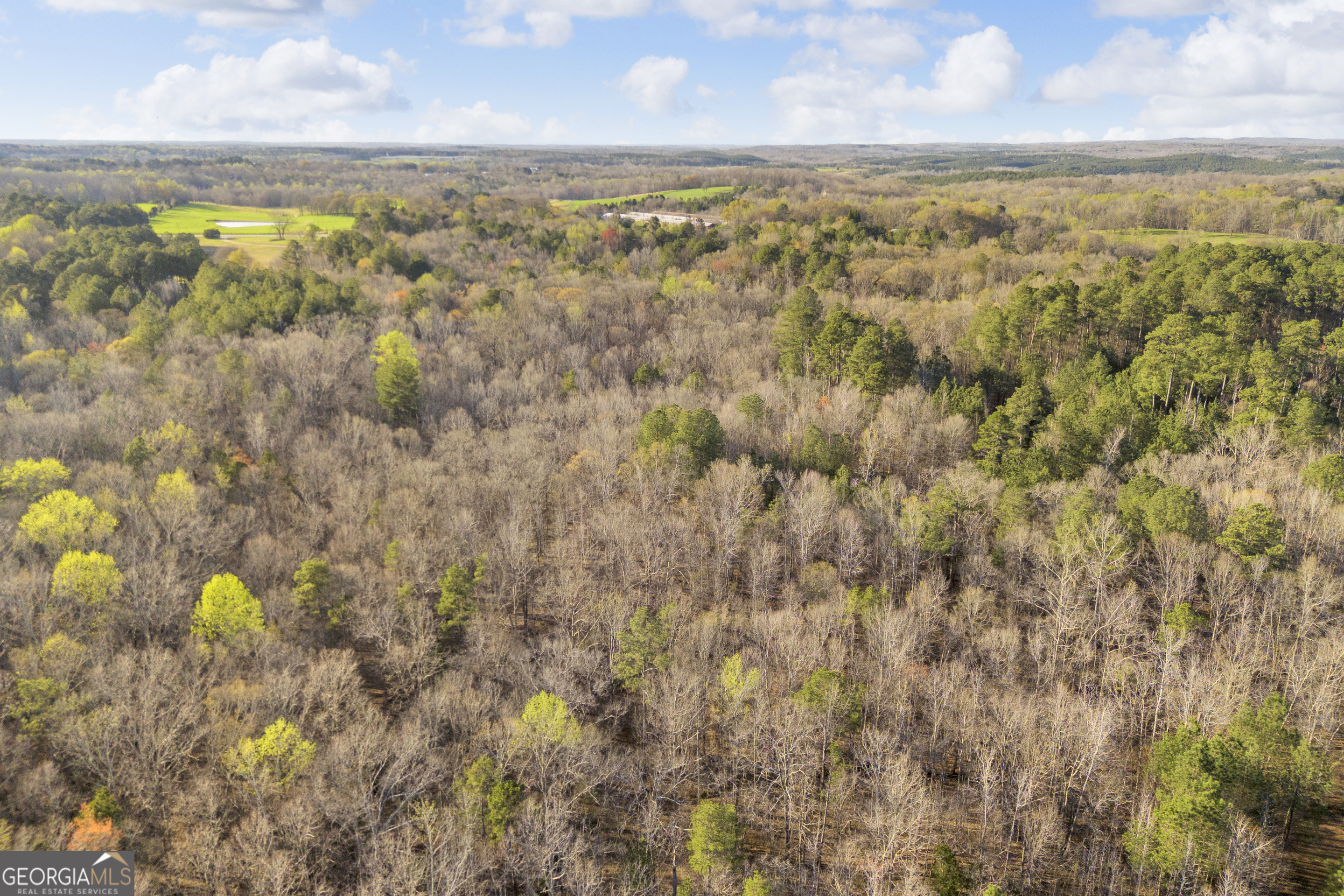 8714 Highway 172 Comer, GA 30629 - Photo 62 of 63