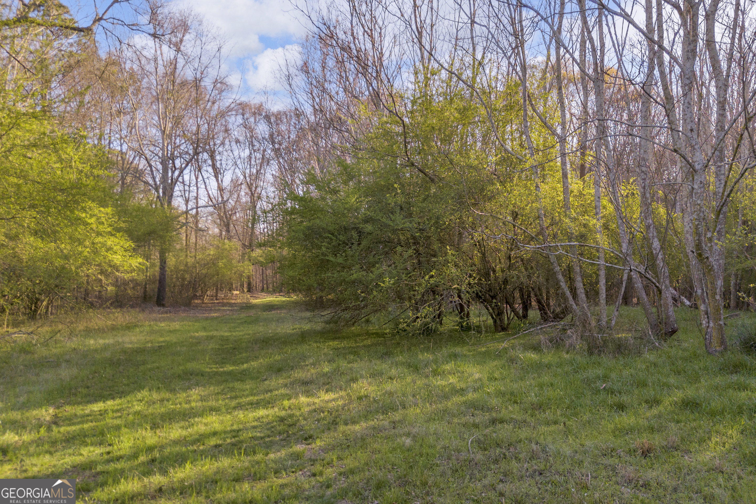 8714 Highway 172 Comer, GA 30629 - Photo 10 of 63