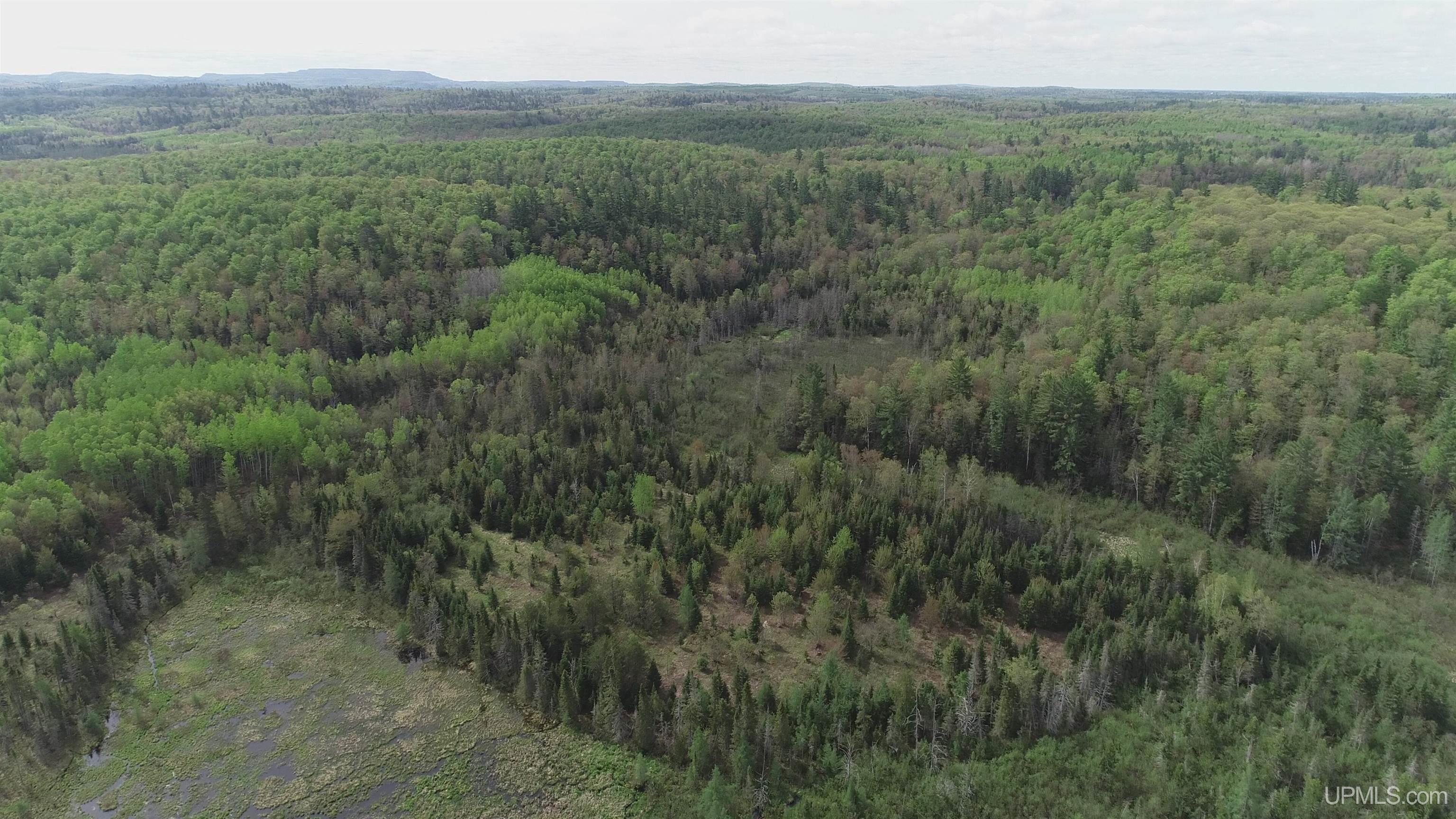 280-acres County Road CCN Road Negaunee, MI 49866 - Photo 10 of 48