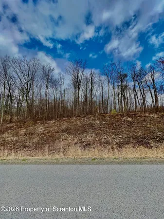 a view of dirt field with trees