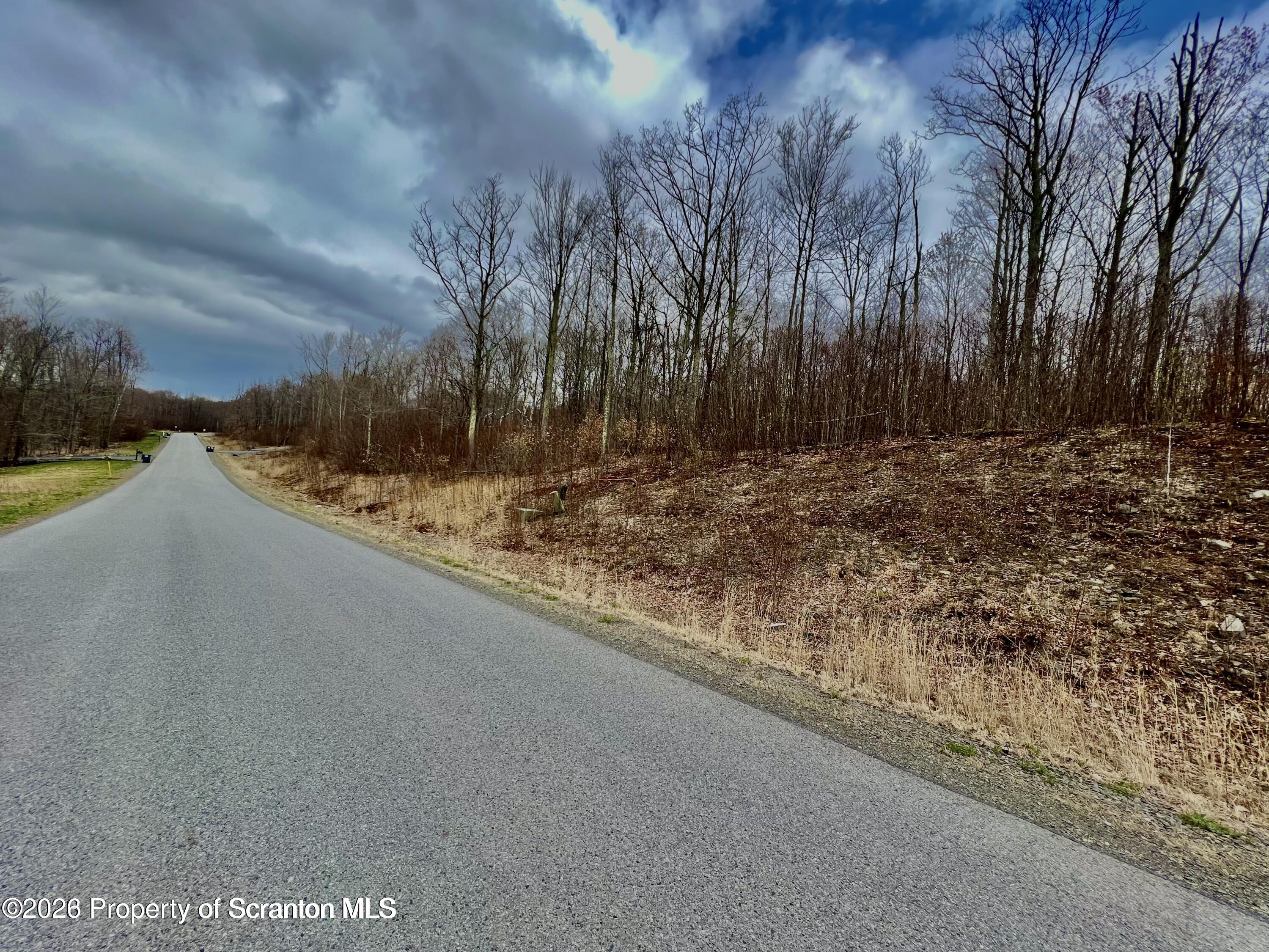 112 Summit Woods Road Moscow, PA 18444 - Photo 2 of 4 a view of a yard with large tree