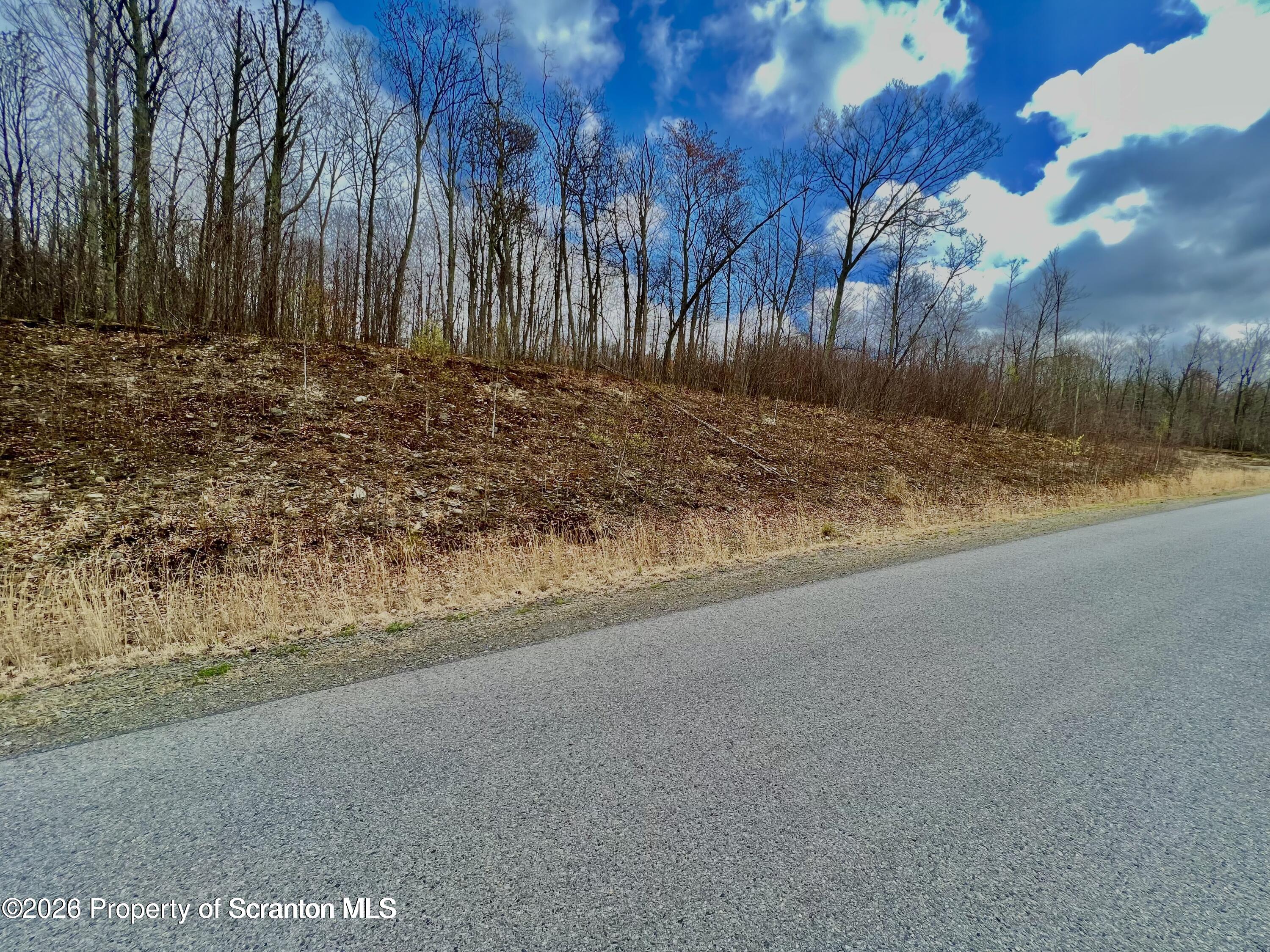 112 Summit Woods Road Moscow, PA 18444 - Photo 3 of 4 a view of outdoor space and yard