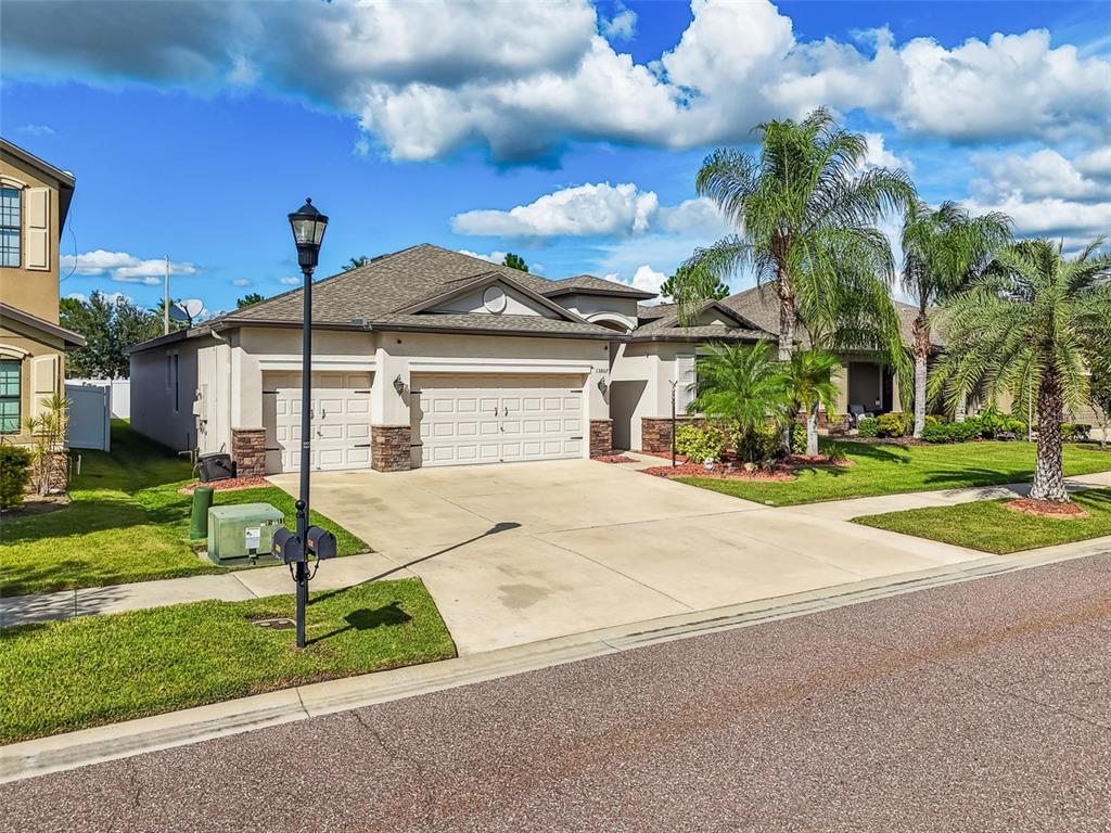 13807 Felix Will Road Riverview, FL 33579 - Photo 75 of 91 a front view of a house with a yard and potted plants