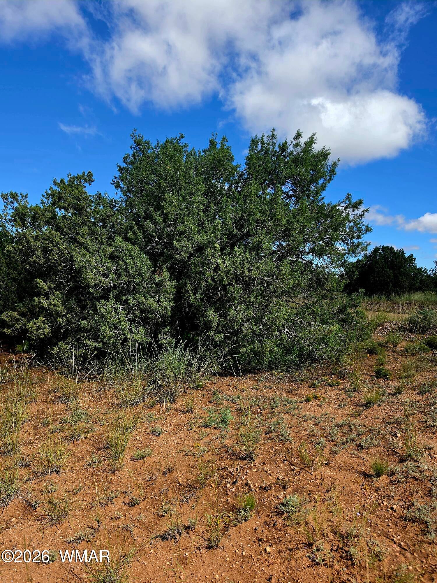4428 Colt Road Snowflake, AZ 85937 - Photo 7 of 13 Gallery Image 7
