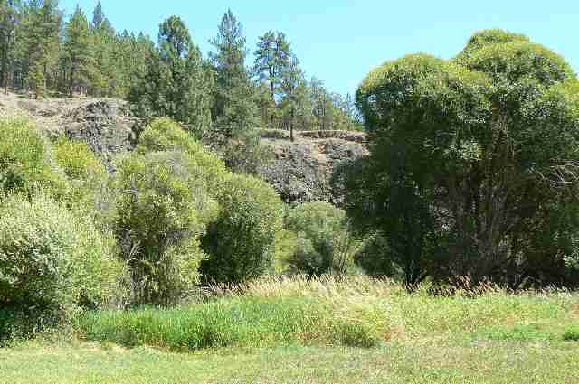2712 North Christensen Road Medical Lake, WA 99022 - Photo 6 of 9 Gallery Image 6