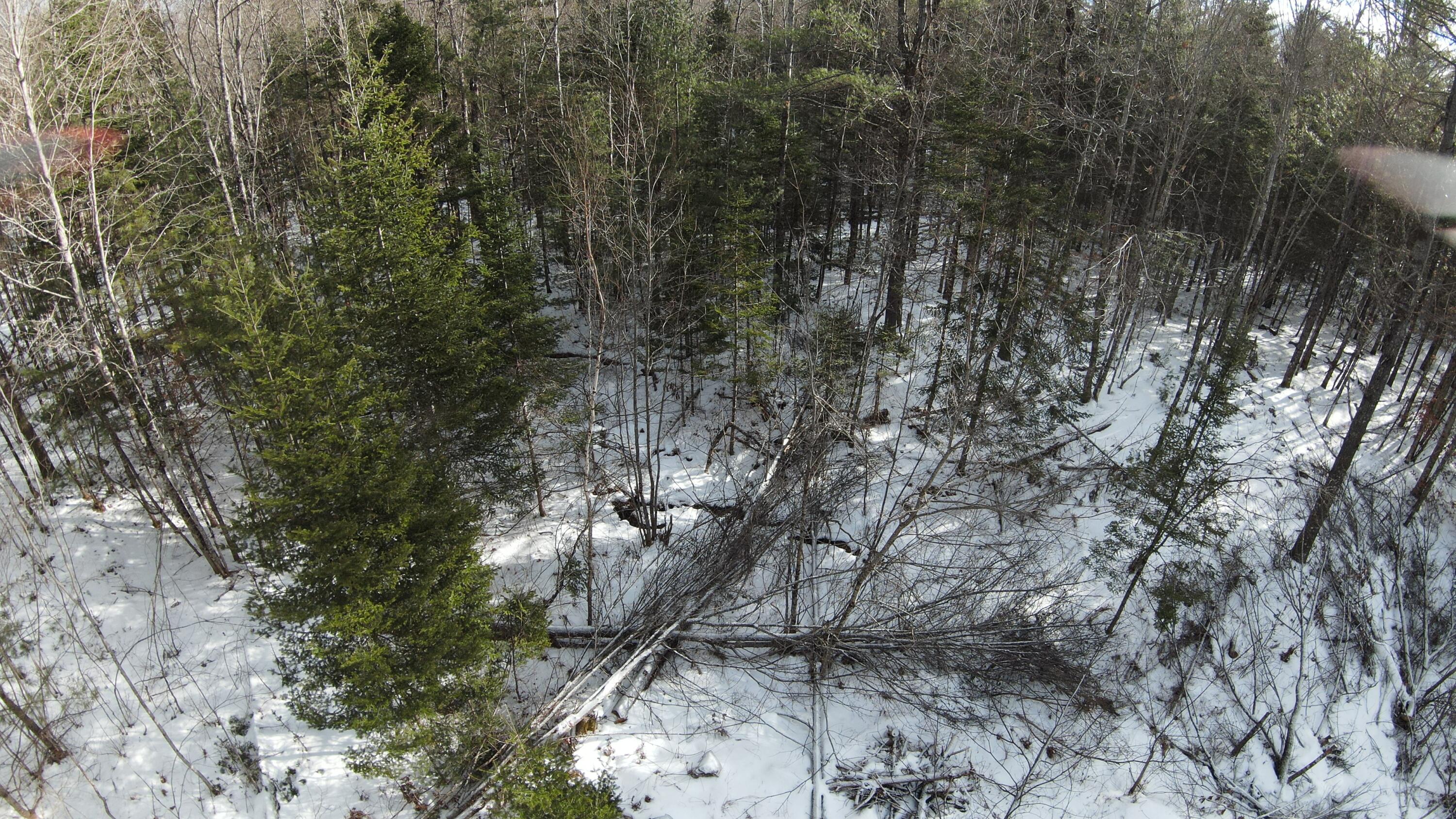 1185 Alton Tannery Road Alton, ME 04468 - Photo 11 of 26 DJI_0815