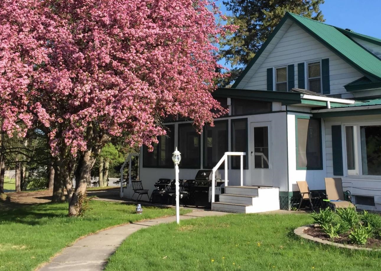 201 Golf Course Lane Bigfork, MN 56628 - Photo 30 of 30 Back of house