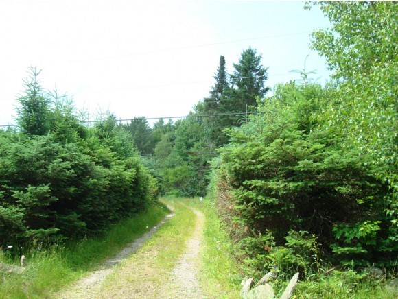 53 Wesson Road Lancaster, NH 03584 - Photo 6 of 13