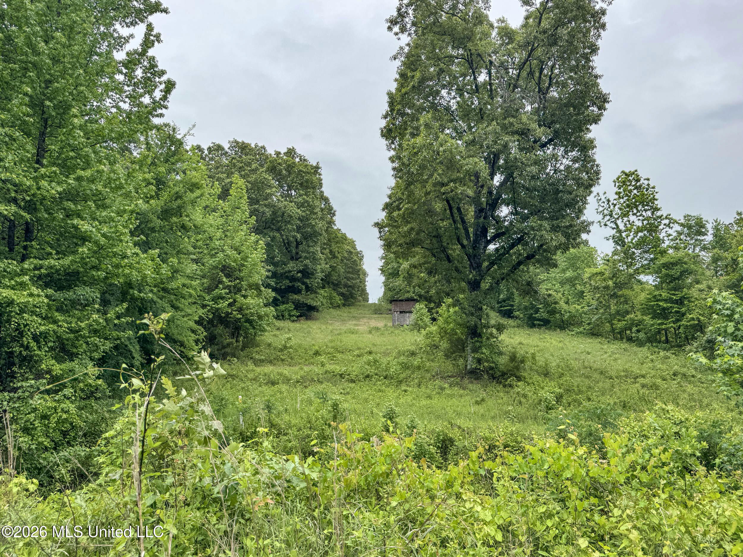 Wayne Massie Road Como, MS 38619 - Photo 123 of 184 5cdtbs61