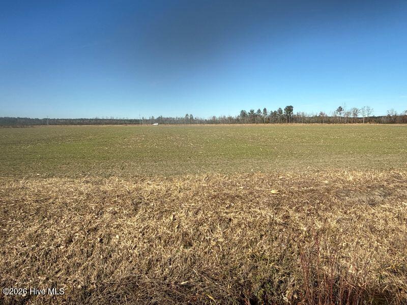 2034 Highway 903 Stokes, NC 27884 - Photo 2 of 9 2