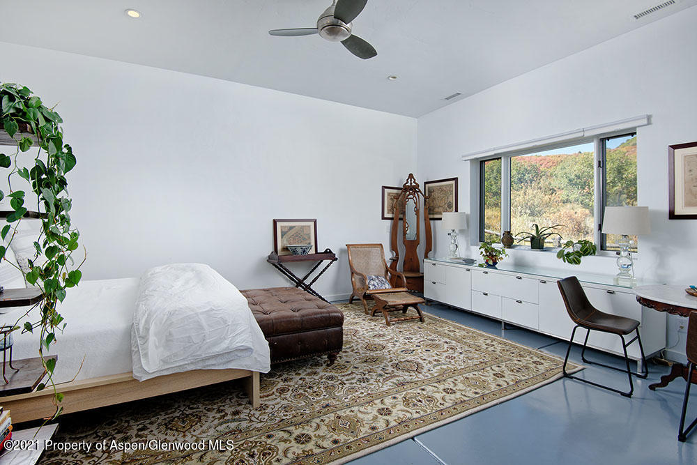 2661 Juniper Hill Road Aspen, CO 81611 - Photo 26 of 31 a room with furniture and a potted plant