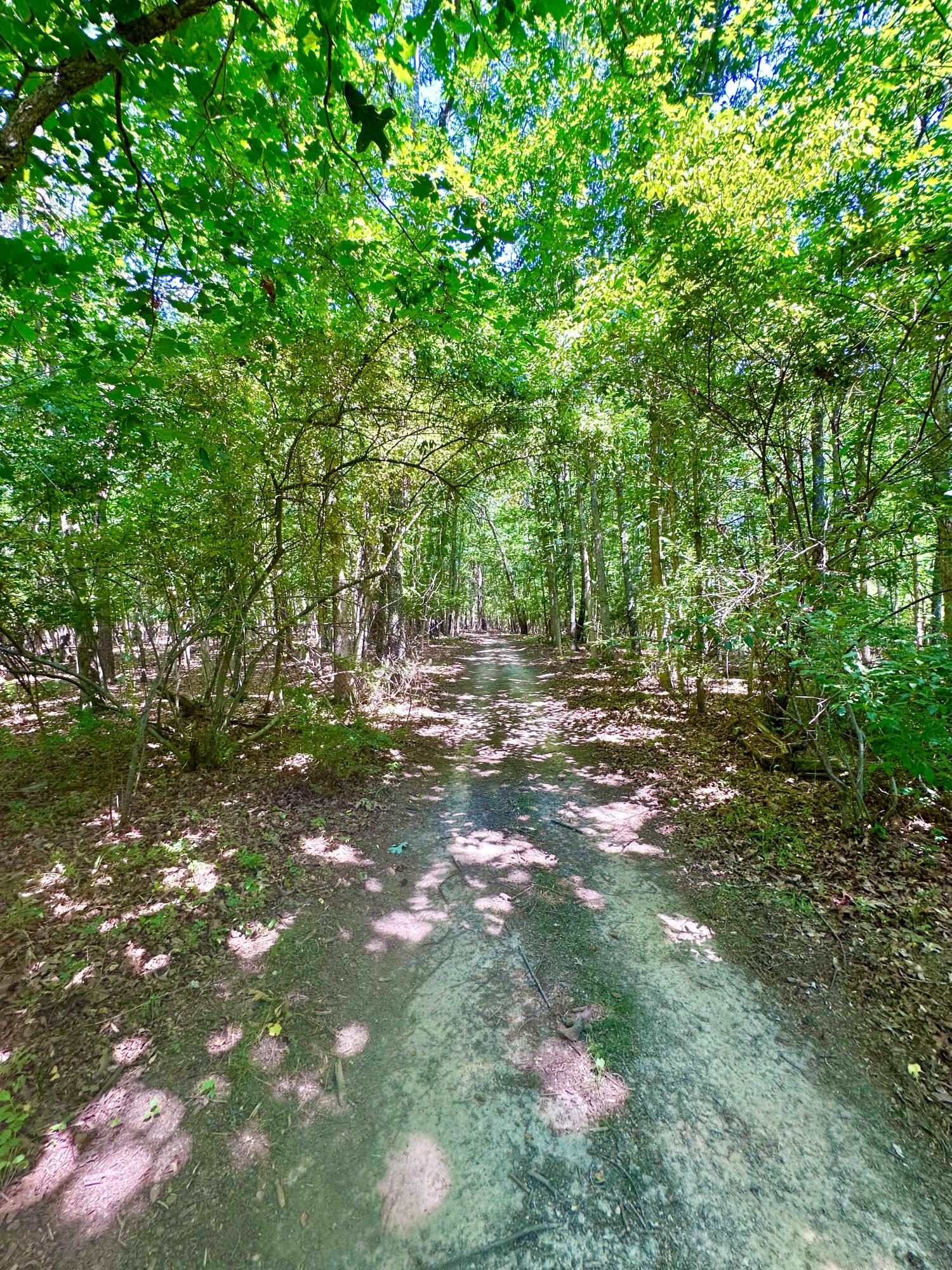 24 Tunnel Hill Road Millboro, VA 24460 - Photo 14 of 64 IMG_9110