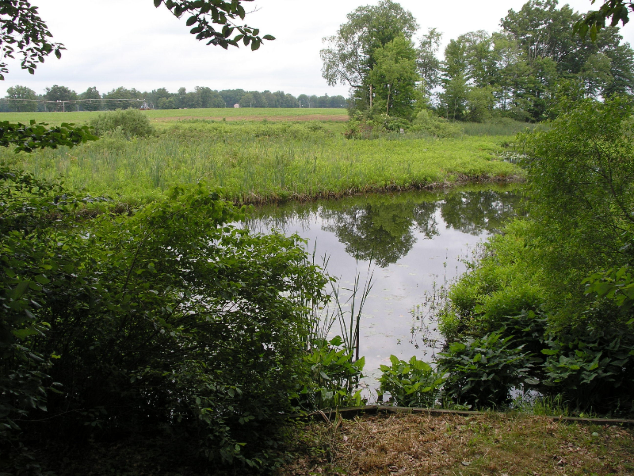 16800 Finch Road Marcellus, MI 49067 - Photo 11 of 69 16800 Finch June 2016 098
