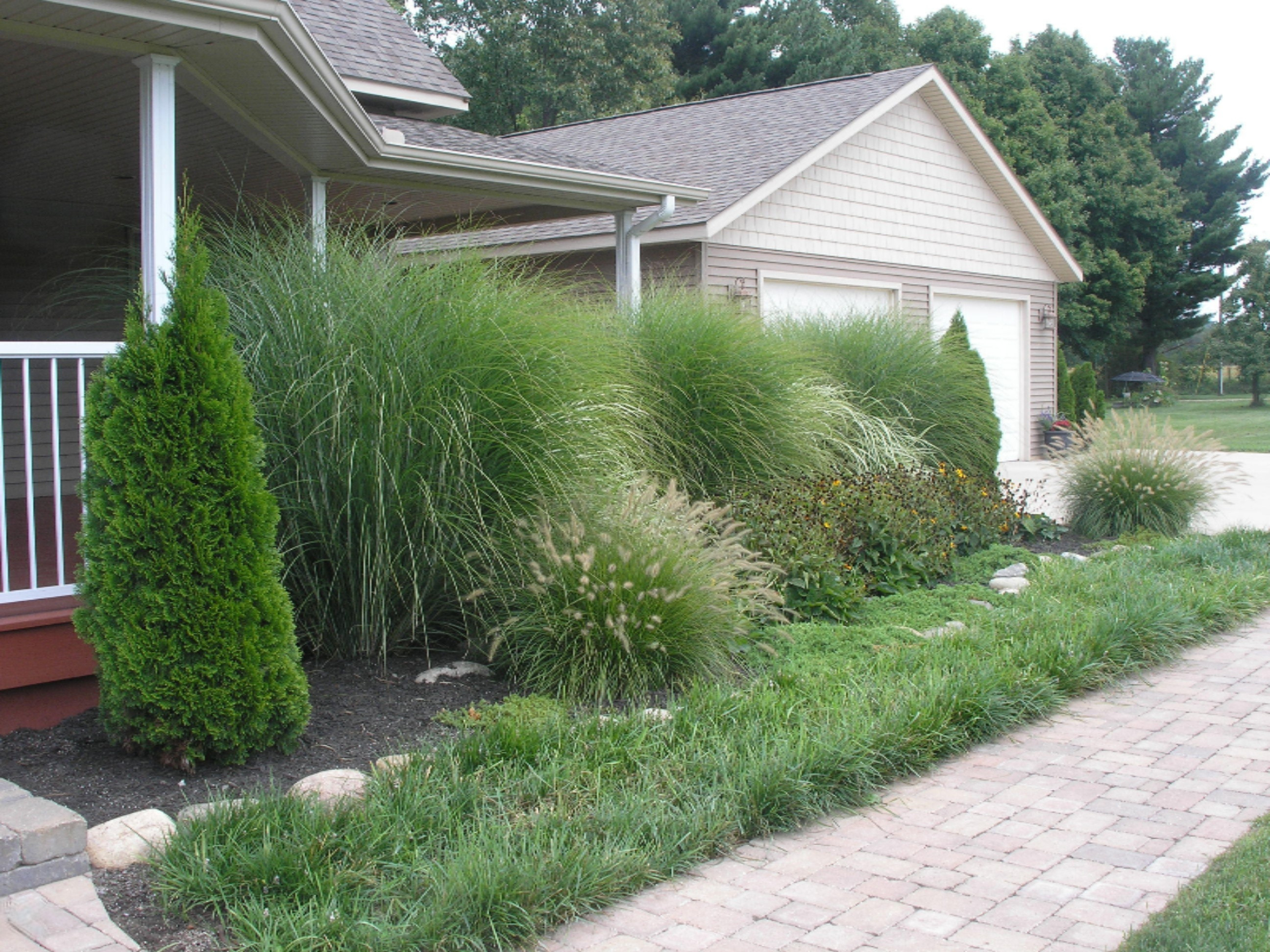 16800 Finch Road Marcellus, MI 49067 - Photo 65 of 69 16800 Finch Rd Kirby & Missy 009