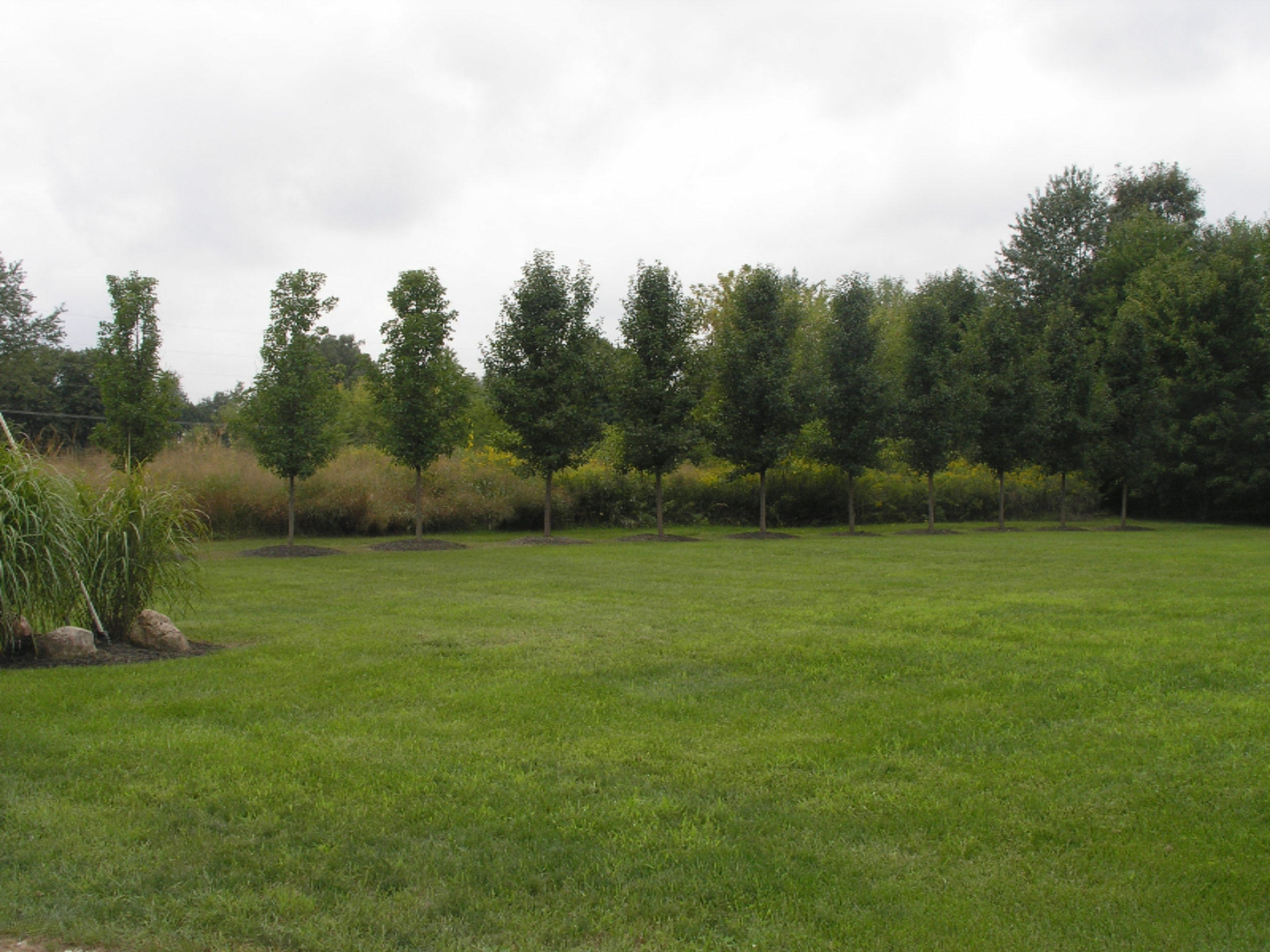 16800 Finch Road Marcellus, MI 49067 - Photo 66 of 69 16800 Finch Rd Kirby & Missy 002