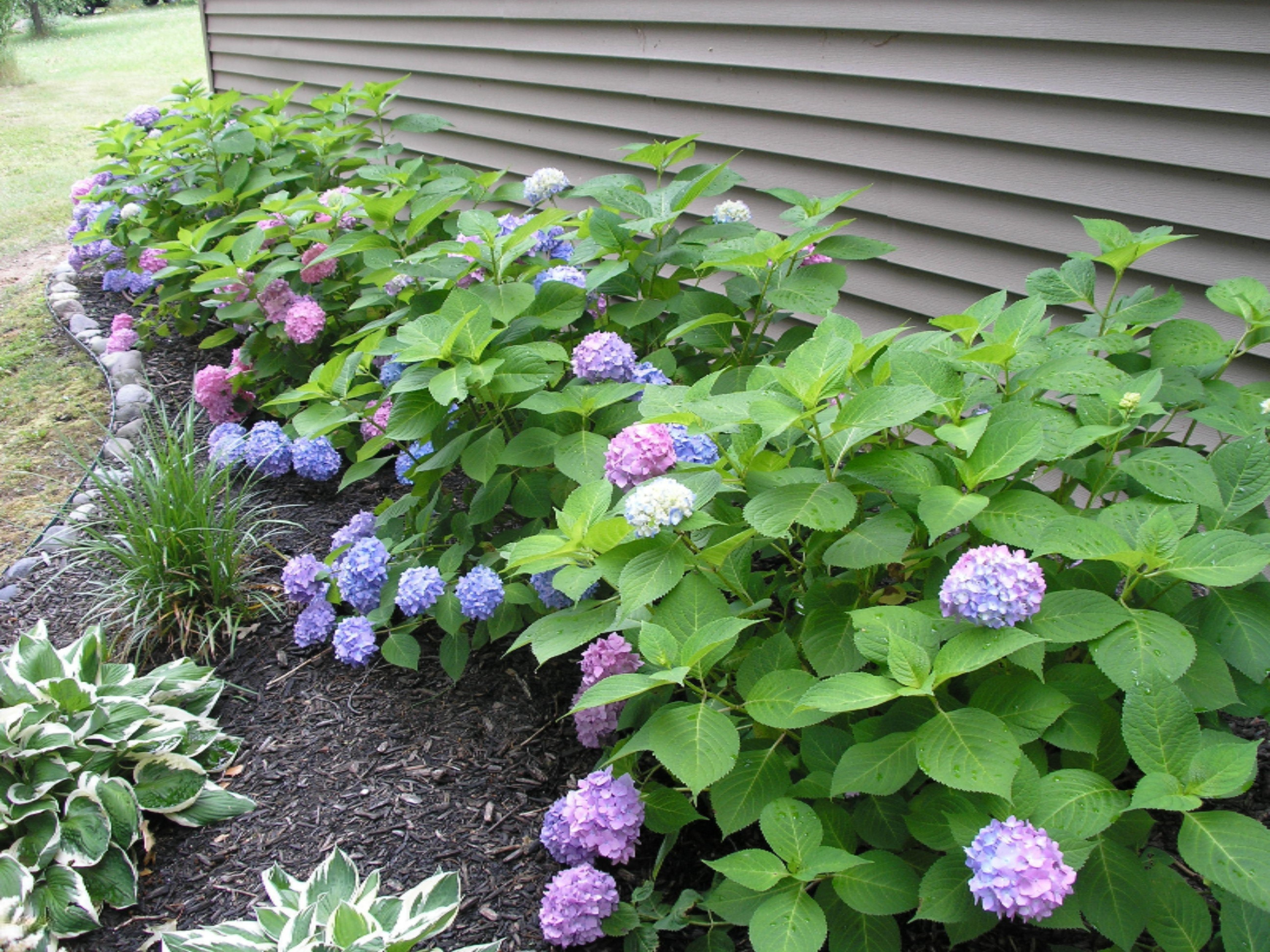 16800 Finch Road Marcellus, MI 49067 - Photo 10 of 69 16800 Finch June 2016 094
