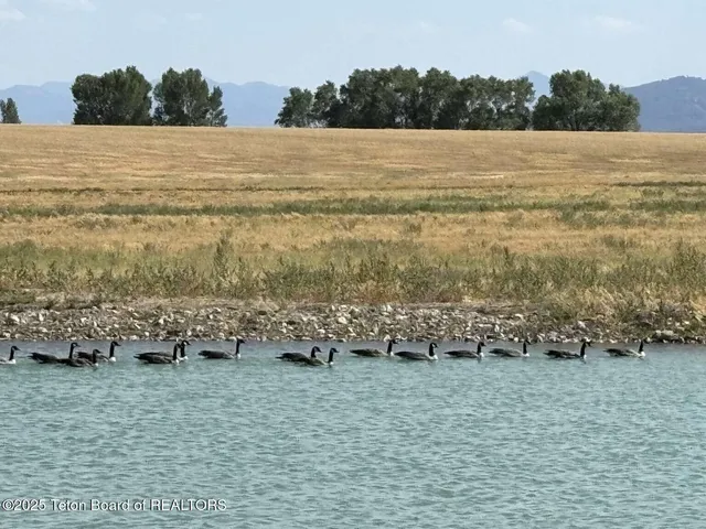 $4,599,999 | 4245 North 8000 West, Tetonia, ID 83452