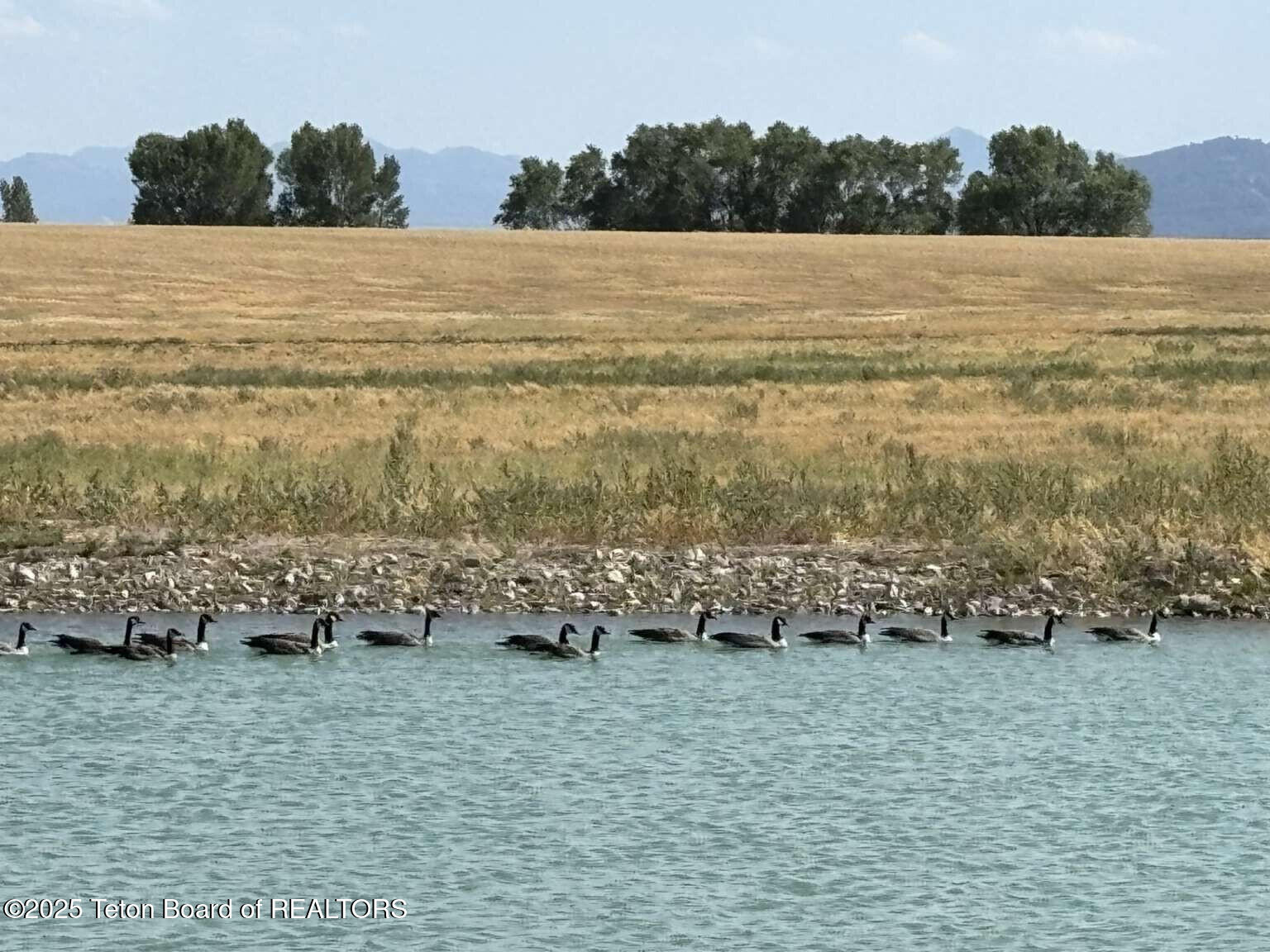 4245 North 8000 West Tetonia, ID 83452 - Photo 17 of 35 Sullum.17