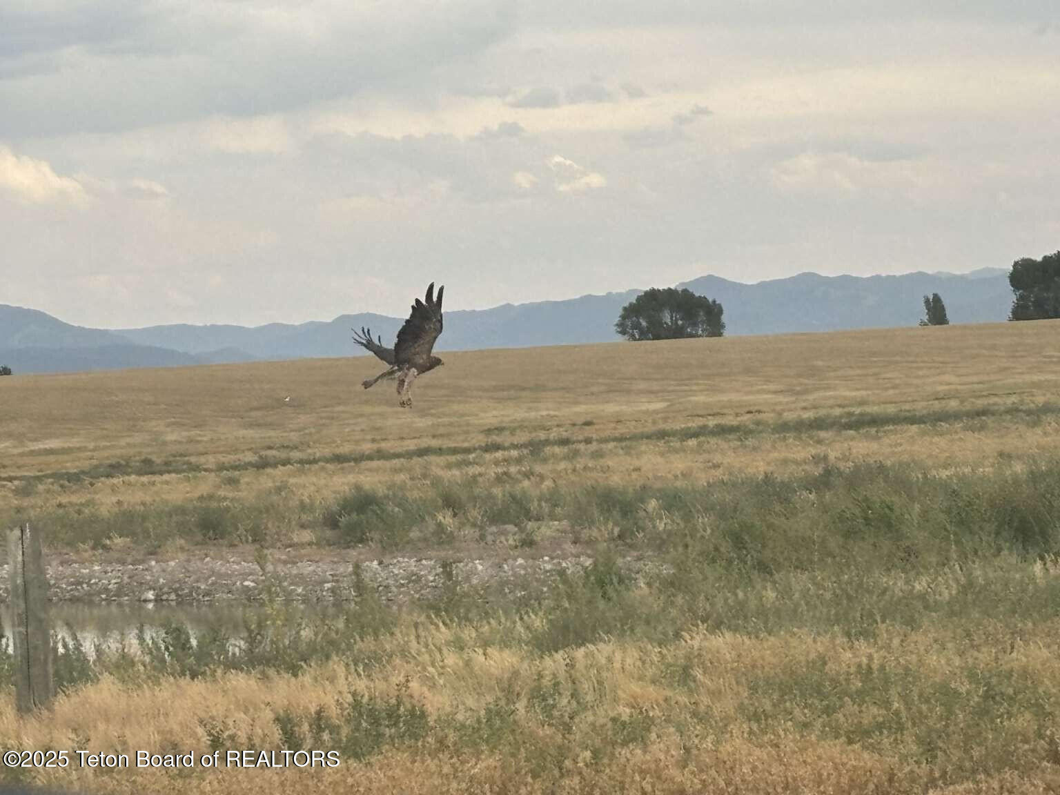4245 North 8000 West Tetonia, ID 83452 - Photo 20 of 35 Sullum.20