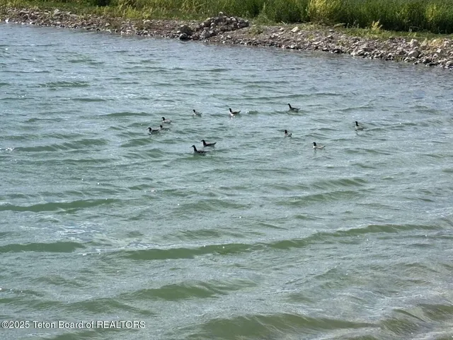 $4,599,999 | 4245 North 8000 West, Tetonia, ID 83452