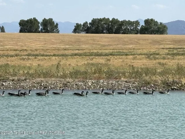 $4,599,999 | 4245 North 8000 West, Tetonia, ID 83452