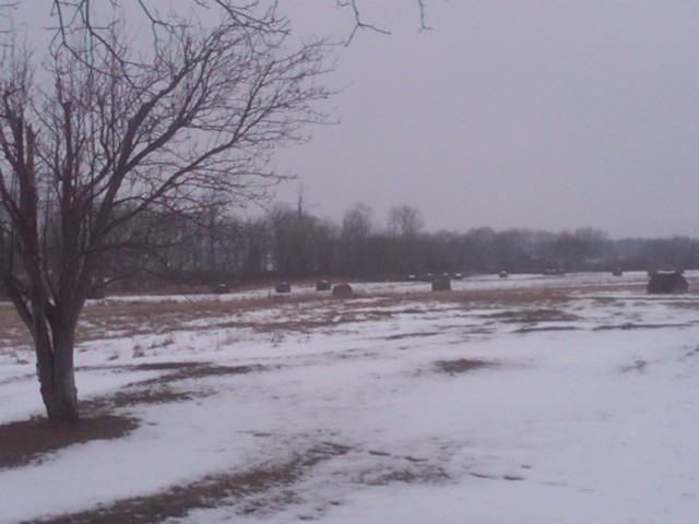 8939 Sharp Clifford, MI 48727 - Photo 9 of 11 31026611-8.JPG