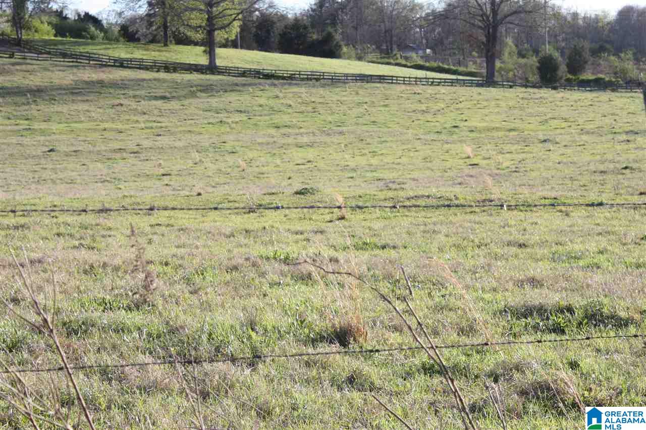11506 Stemley Road Lincoln, AL 35096 - Photo 13 of 21
