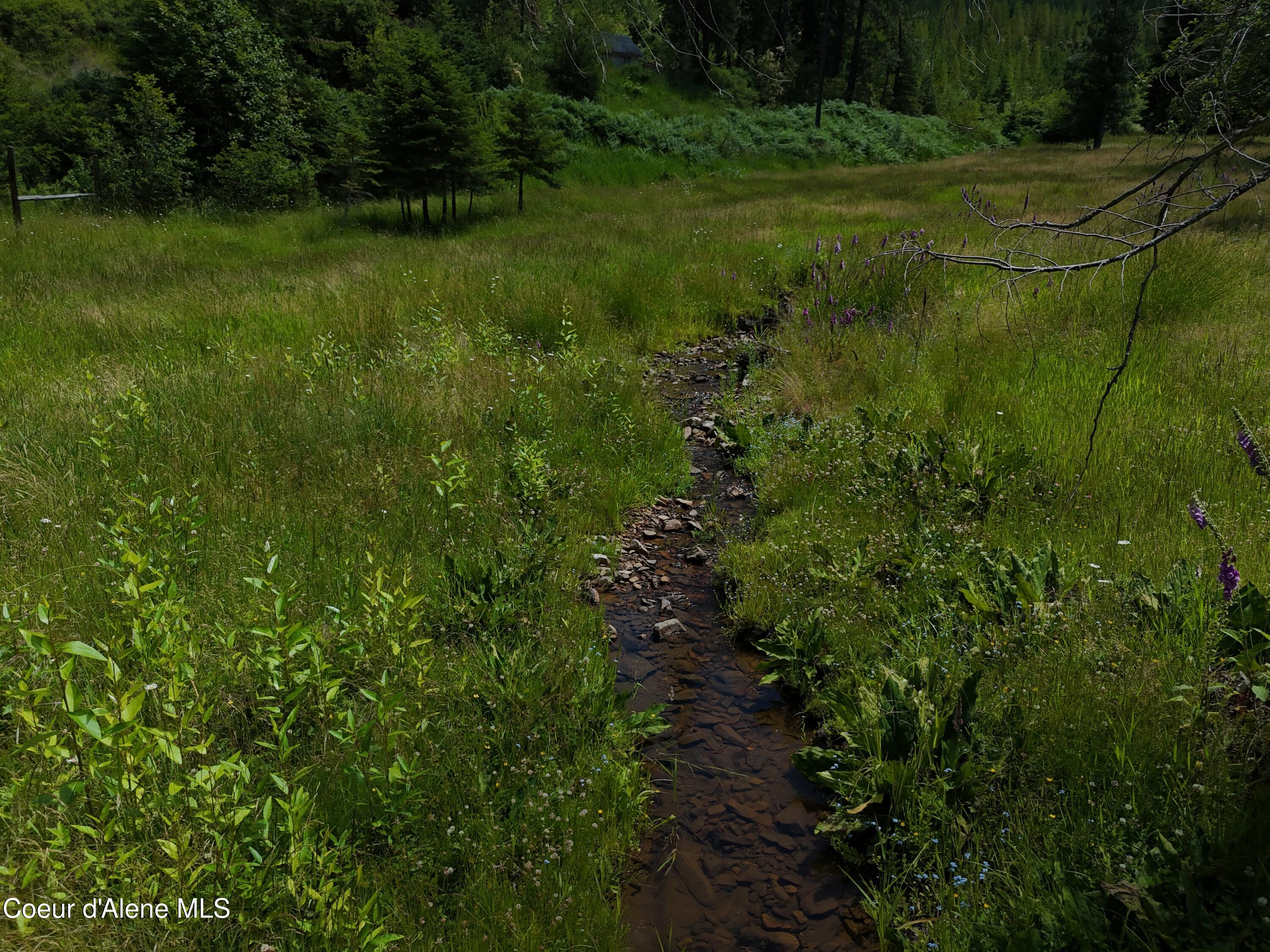 3115 Cherry Creek Road St. Maries, ID 83861 - Photo 48 of 52 3115 Cherry Creek Creek in the field pic