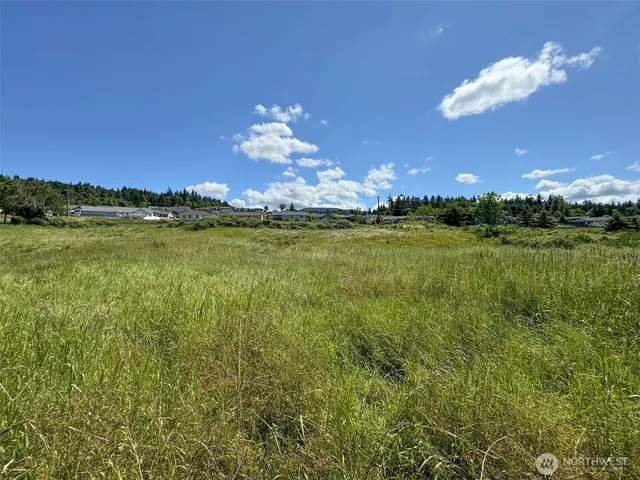 a view of a big yard with swimming pool and green space