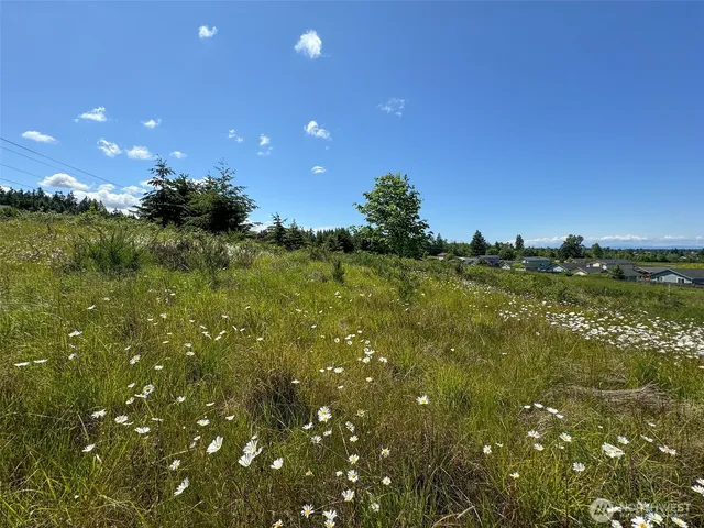a view of a lake from a yard
