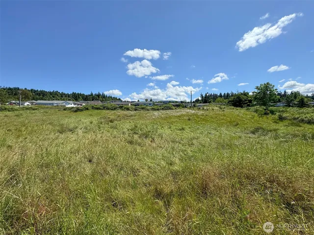 a view of a house with a big yard