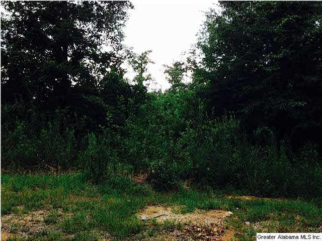 2615 6 Foot Road Ohatchee, AL 36271 - Photo 15 of 22