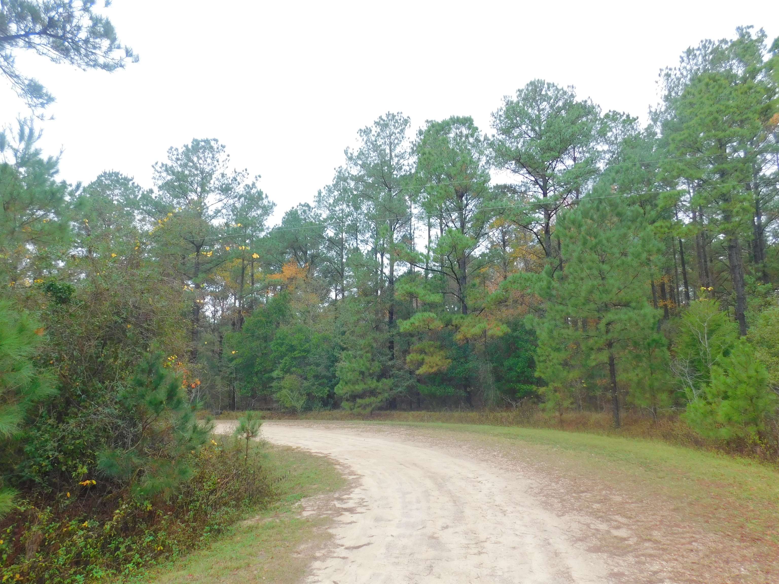 Xxx Xxx Orchard Road Quincy, FL 32351 - Photo 4 of 4