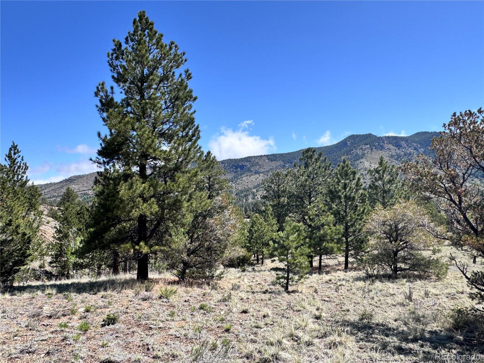 Dilley Road Westcliffe, CO 81252 - Photo 2 of 16