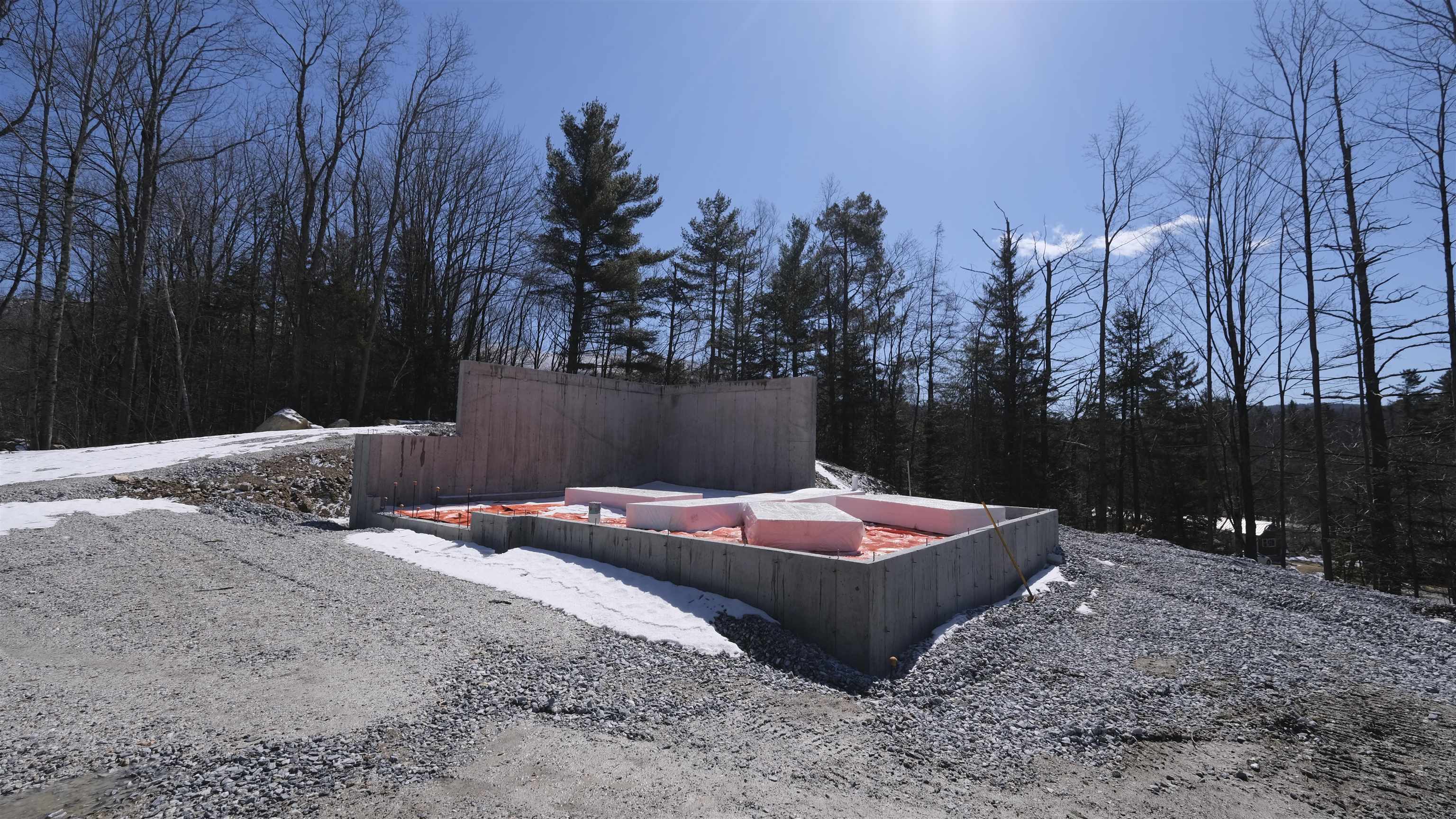 100 Sawyer Hill Road Mount Holly, VT 05758 - Photo 10 of 15