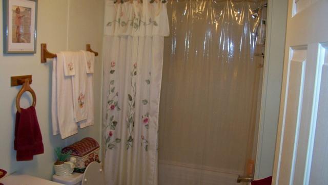 8132 Chestnut Ridge Road Lynchburg, TN 37352 - Photo 12 of 20 Nice guest bath
