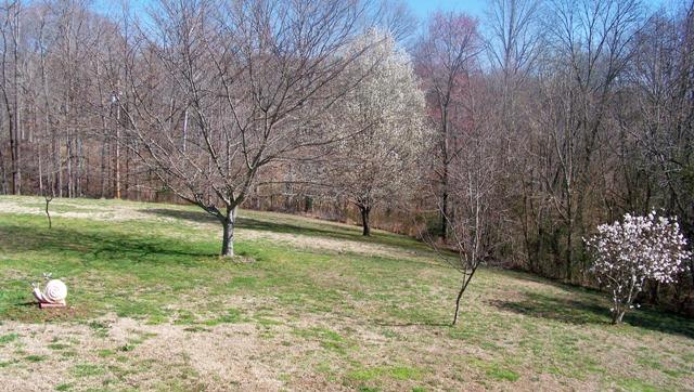 8132 Chestnut Ridge Road Lynchburg, TN 37352 - Photo 16 of 20 Spacious back yard