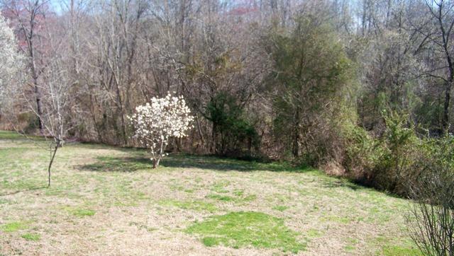8132 Chestnut Ridge Road Lynchburg, TN 37352 - Photo 17 of 20 Plenty of privacy