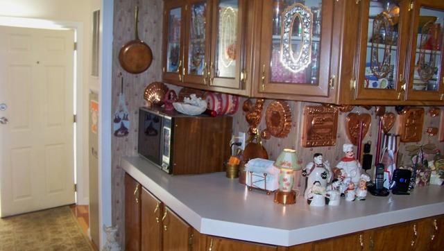 8132 Chestnut Ridge Road Lynchburg, TN 37352 - Photo 7 of 20 Lots of counter space and cabinet