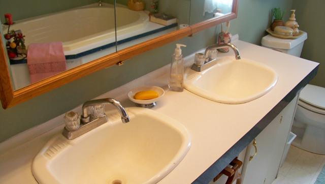 8132 Chestnut Ridge Road Lynchburg, TN 37352 - Photo 9 of 20 Double vanity in the master bath