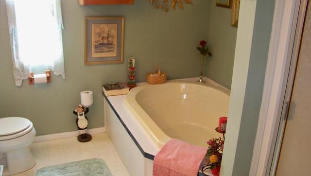 8132 Chestnut Ridge Road Lynchburg, TN 37352 - Photo 10 of 20 Nice whirlpool bath in the master bath to relax away the days worries