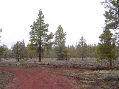 13601 Barnes Valley Road Bly, OR 97622 - Photo 1 of 6 Primary Photo