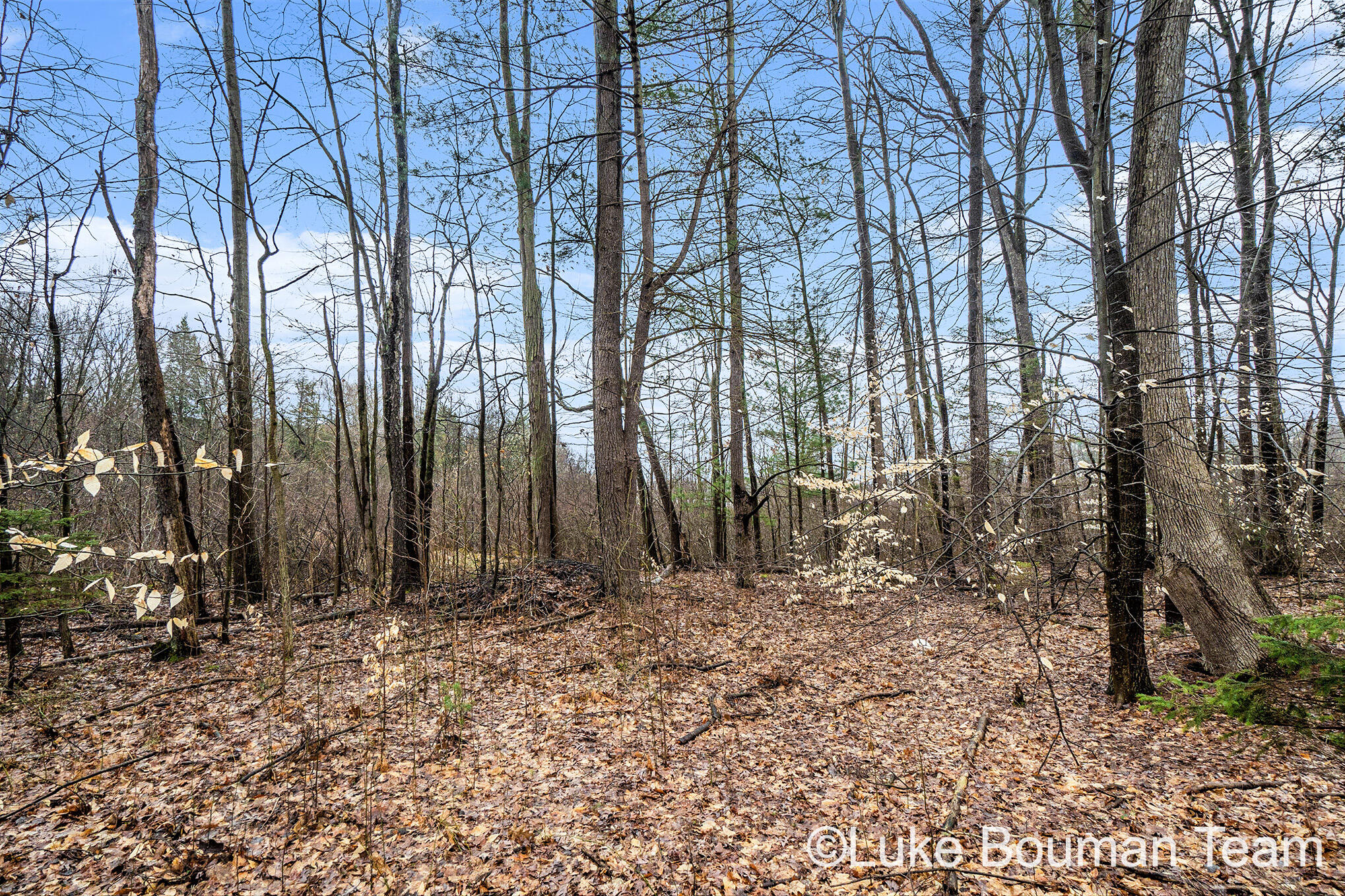 51957 Silver Lake Road Grand Junction, MI 49056 - Photo 11 of 20 DSC01449