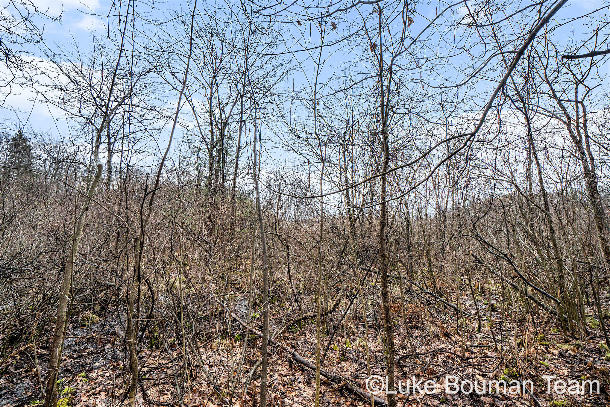 51957 Silver Lake Road Grand Junction, MI 49056 - Photo 12 of 20 DSC01451