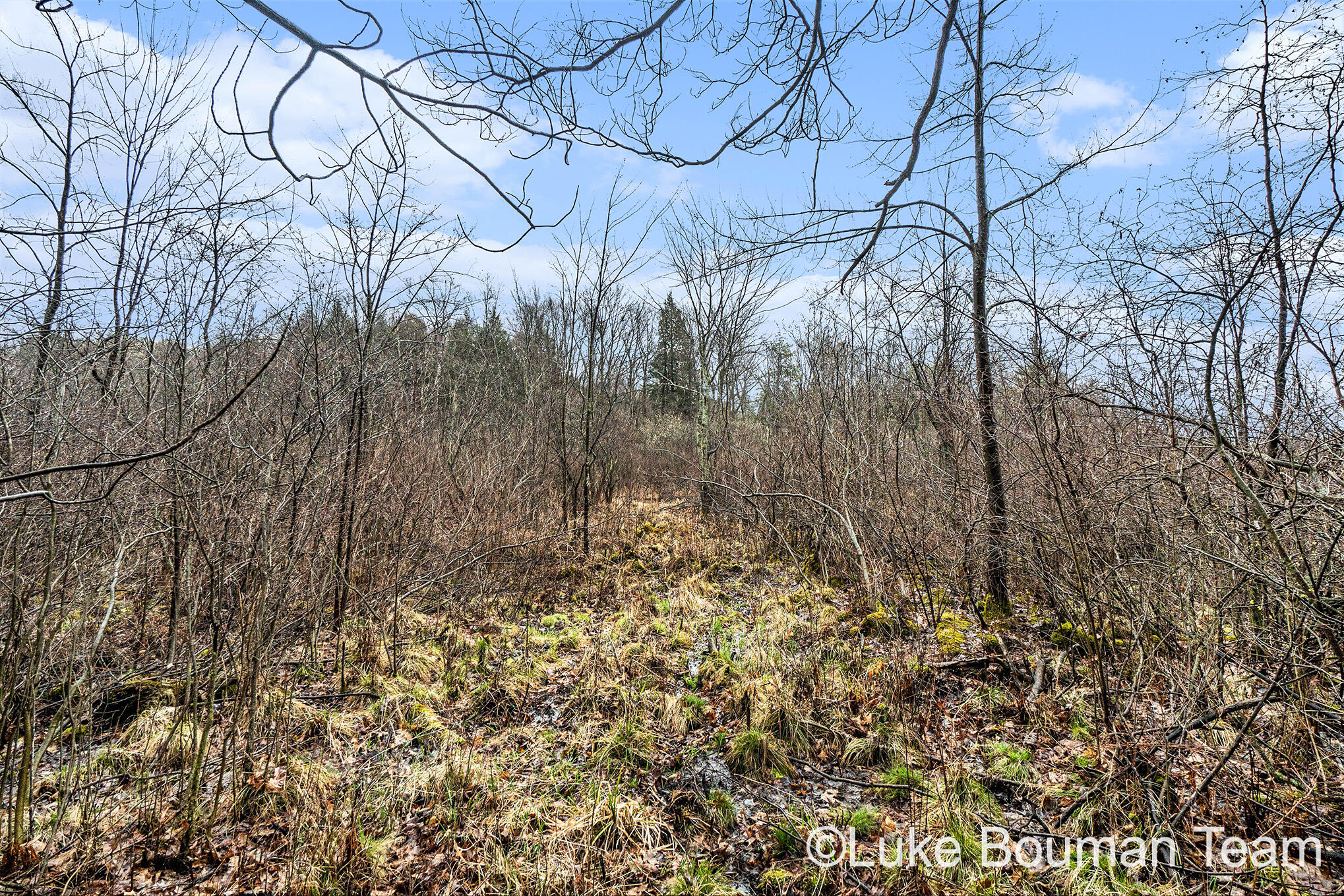 51957 Silver Lake Road Grand Junction, MI 49056 - Photo 13 of 20 DSC01452